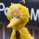 Illustration for article titled 5 Times On ‘Sesame Street’ Where Big Bird Incorrectly Explained To A Kid That Each Of The Pink Rings Around His Legs Represents 100 Years That He’s Been Alive